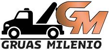 GruasMilenioLogofinweb2